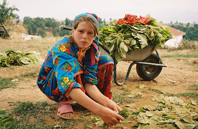 Tobacco Girl