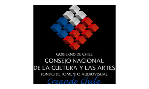 consejo Chile